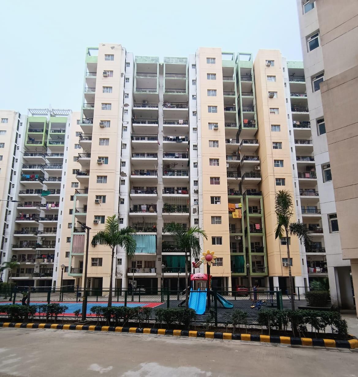 Orris Carnation - Image 23