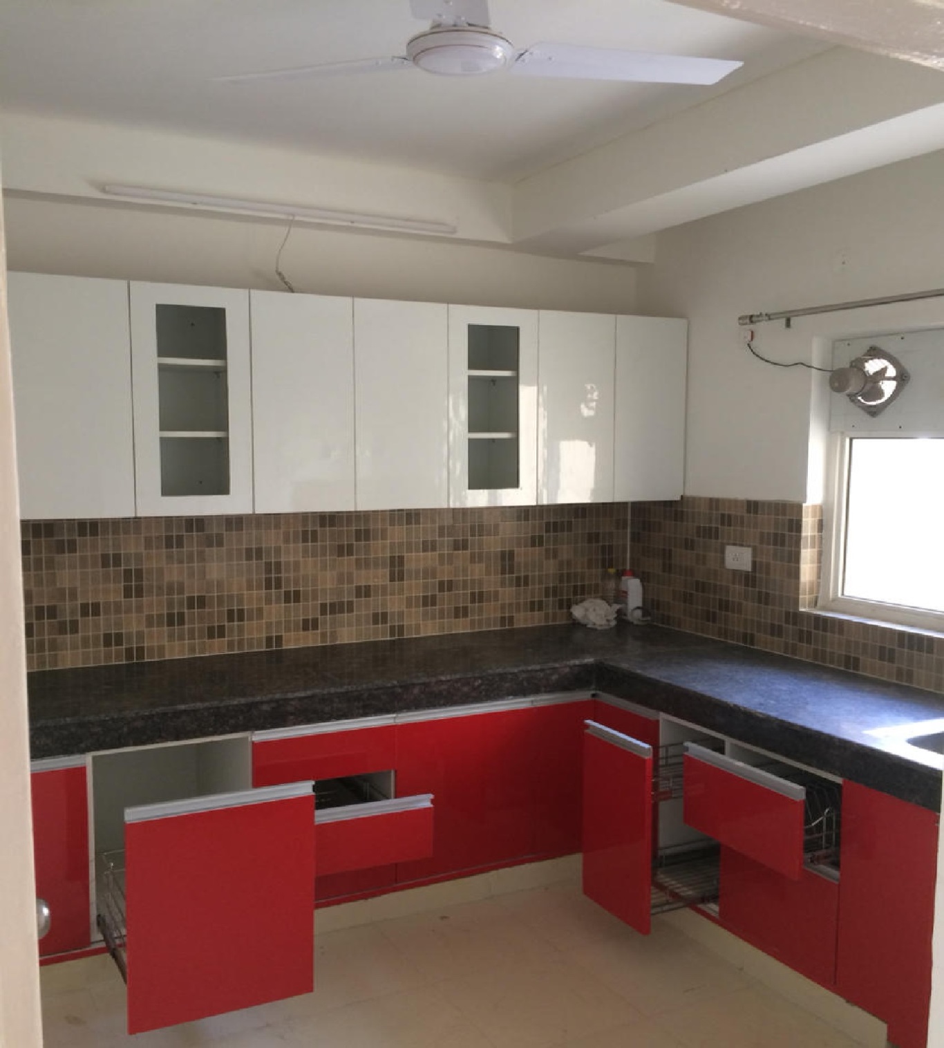 Orris Carnation - Image 5