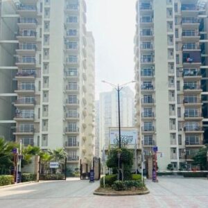 Shree Vardhaman Floora