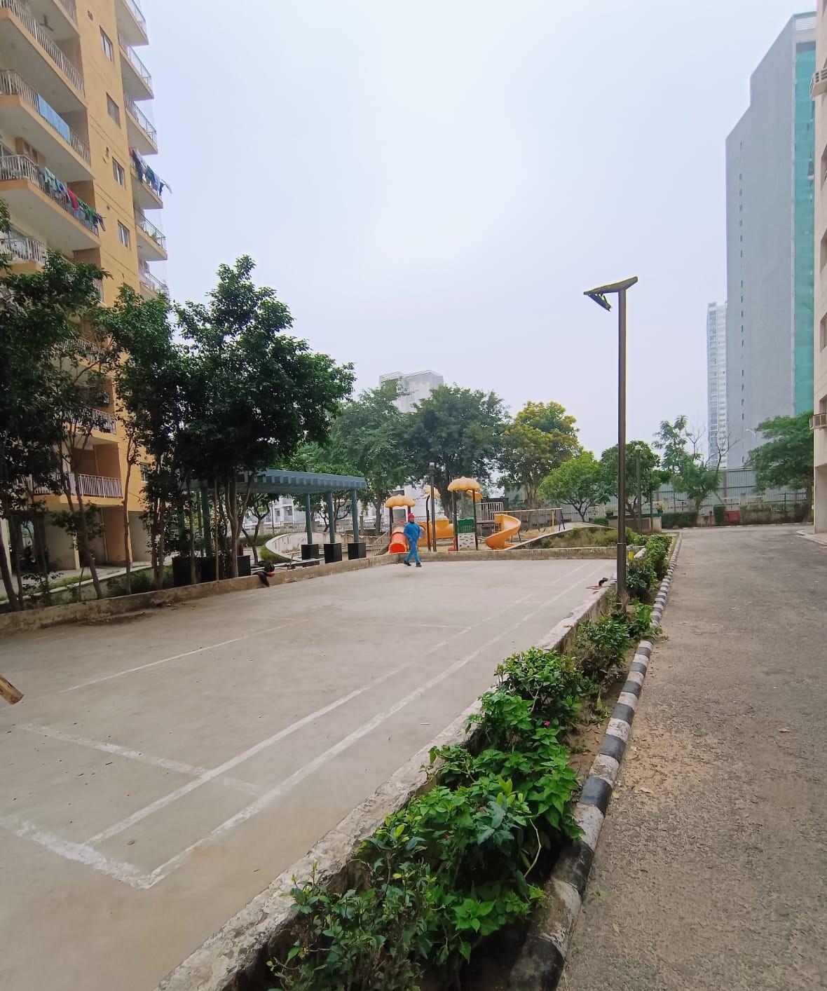 Orris Carnation - Image 13