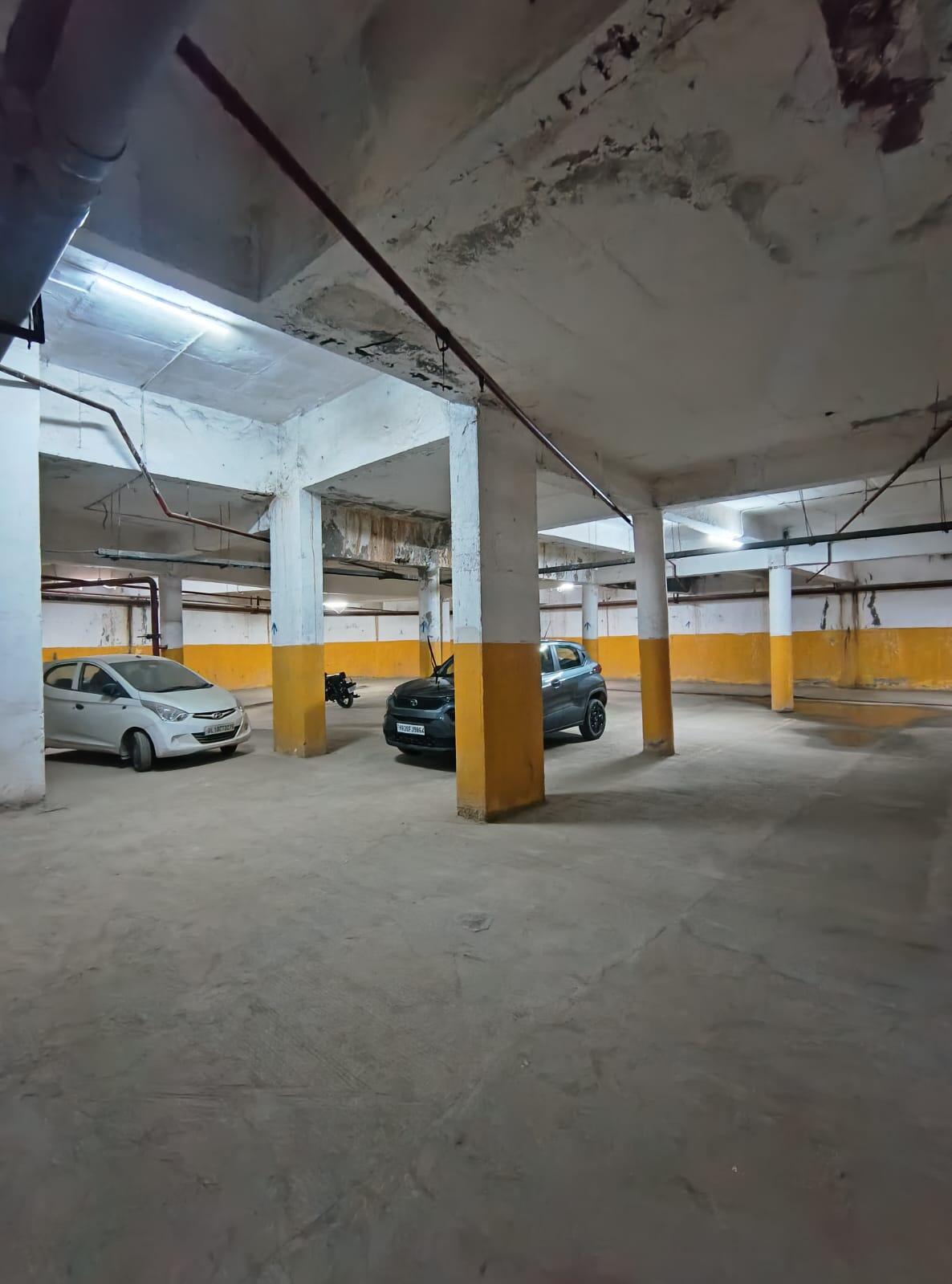 Orris Carnation - Image 16