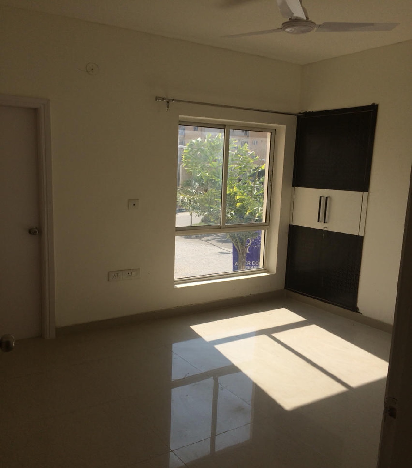 Orris Carnation - Image 4