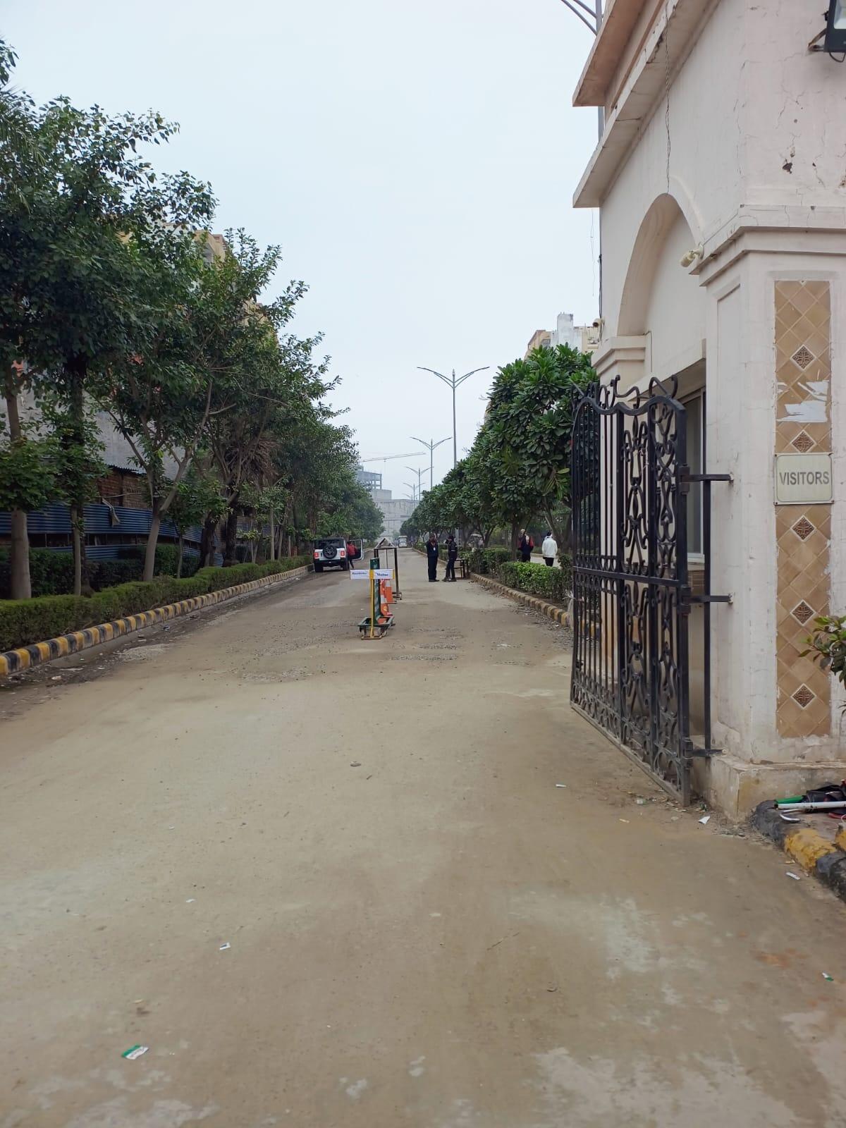 Orris Carnation - Image 24