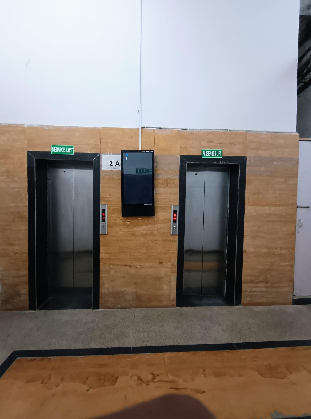 Orris Carnation - Image 7