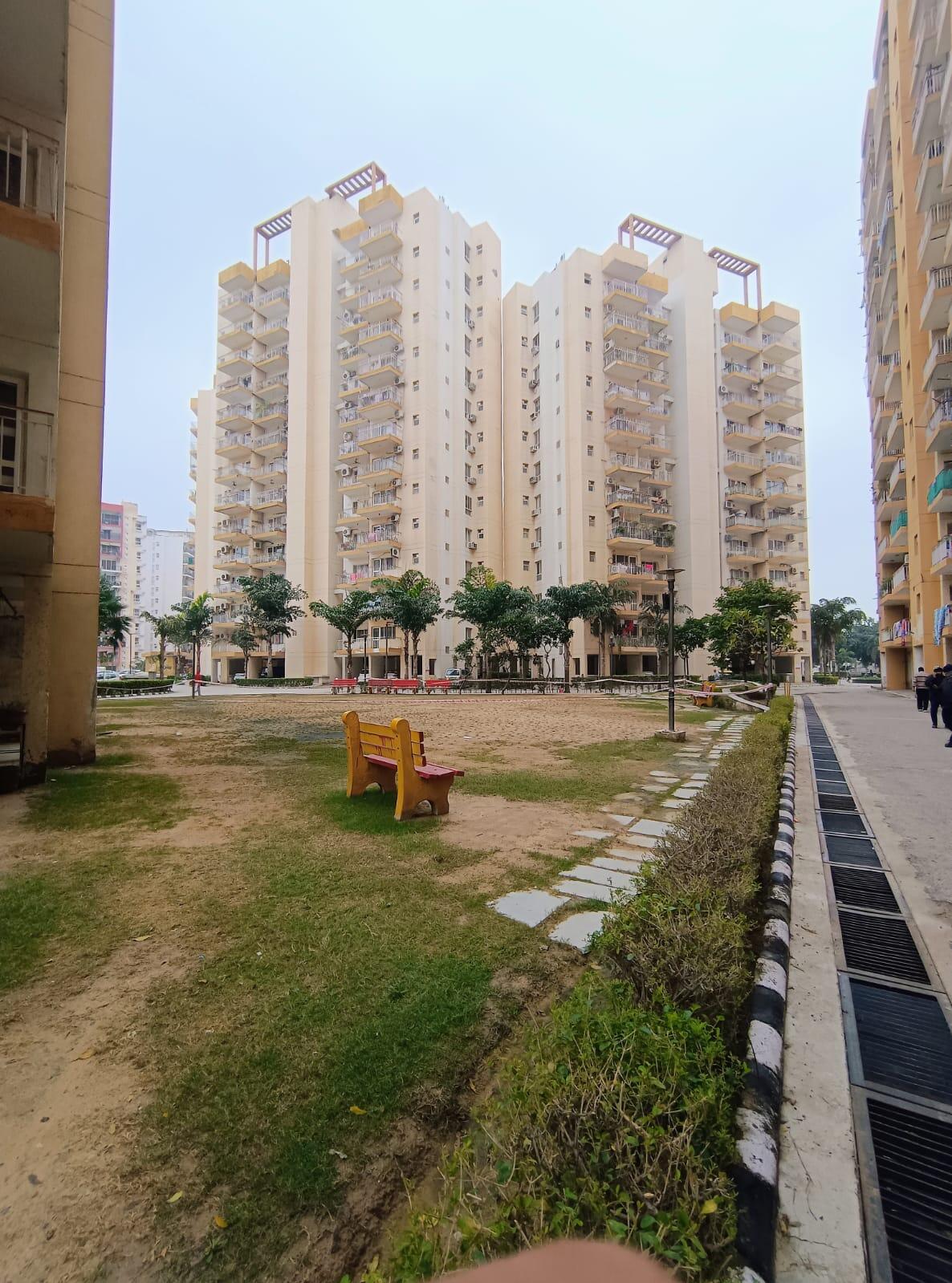 Orris Carnation - Image 21