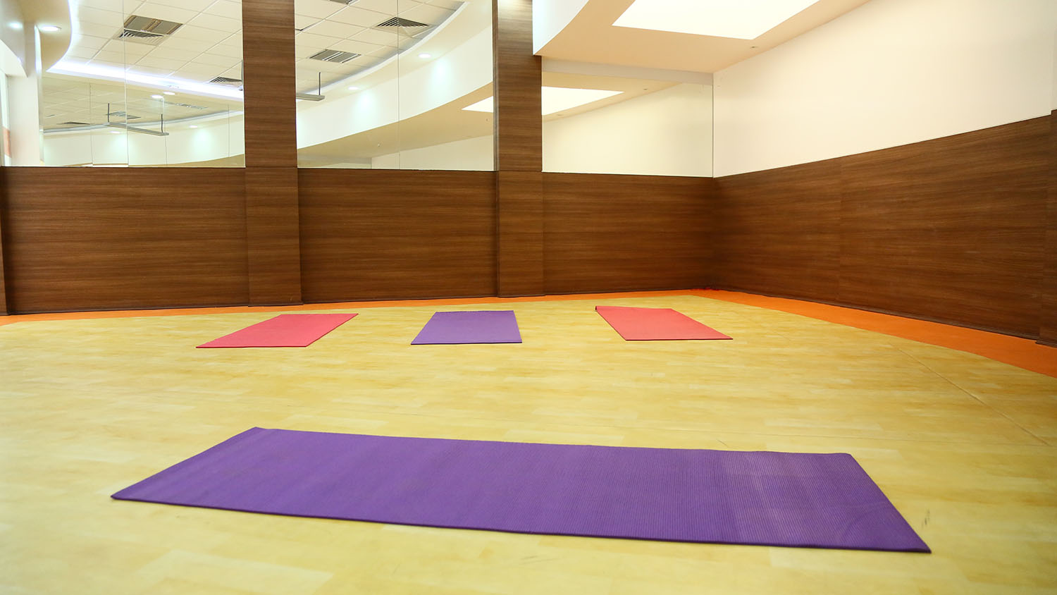 Orris Carnation - Image 6