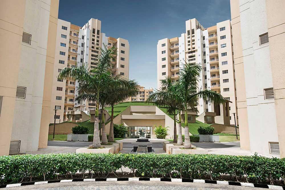 Orris Carnation - Image 26