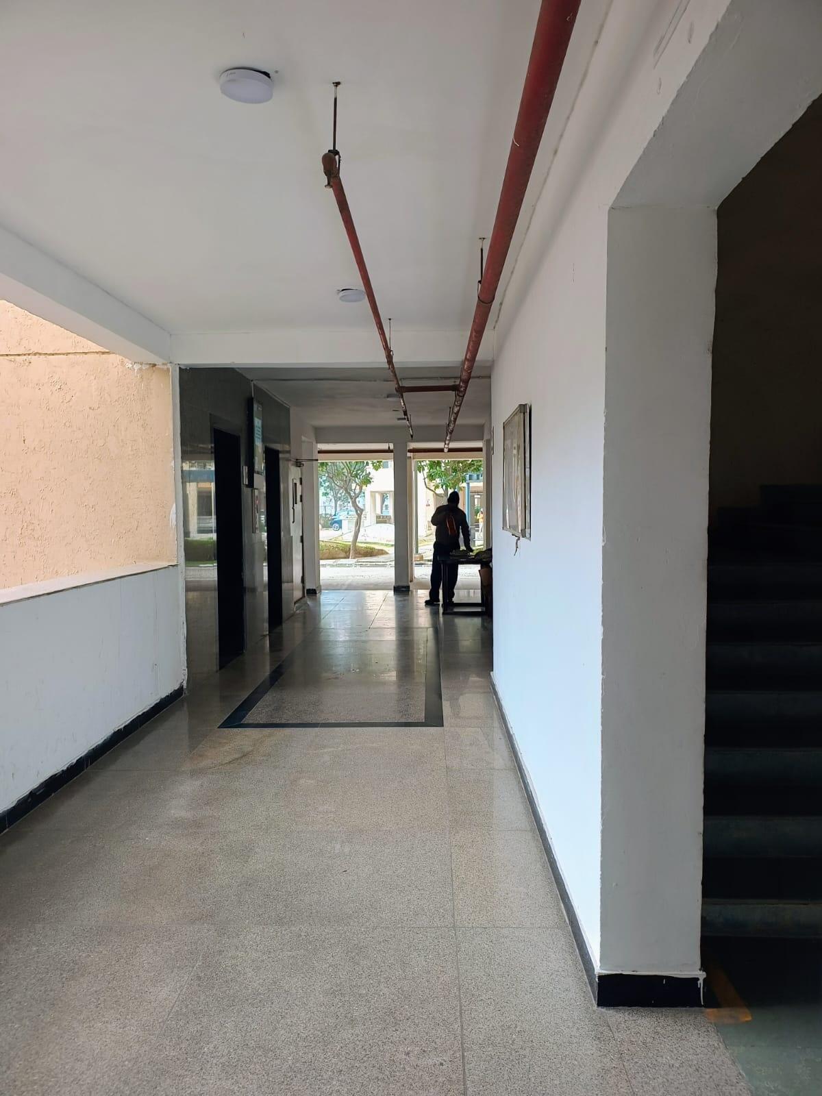 Orris Carnation - Image 22