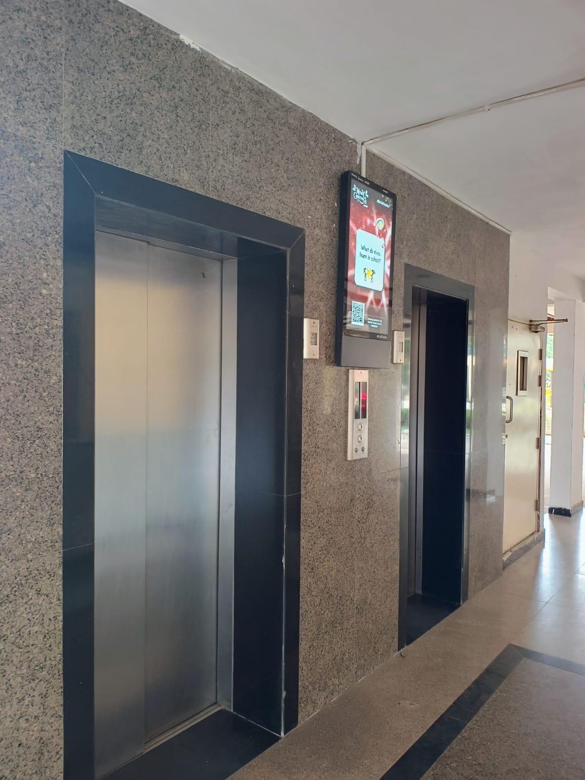 Orris Carnation - Image 8