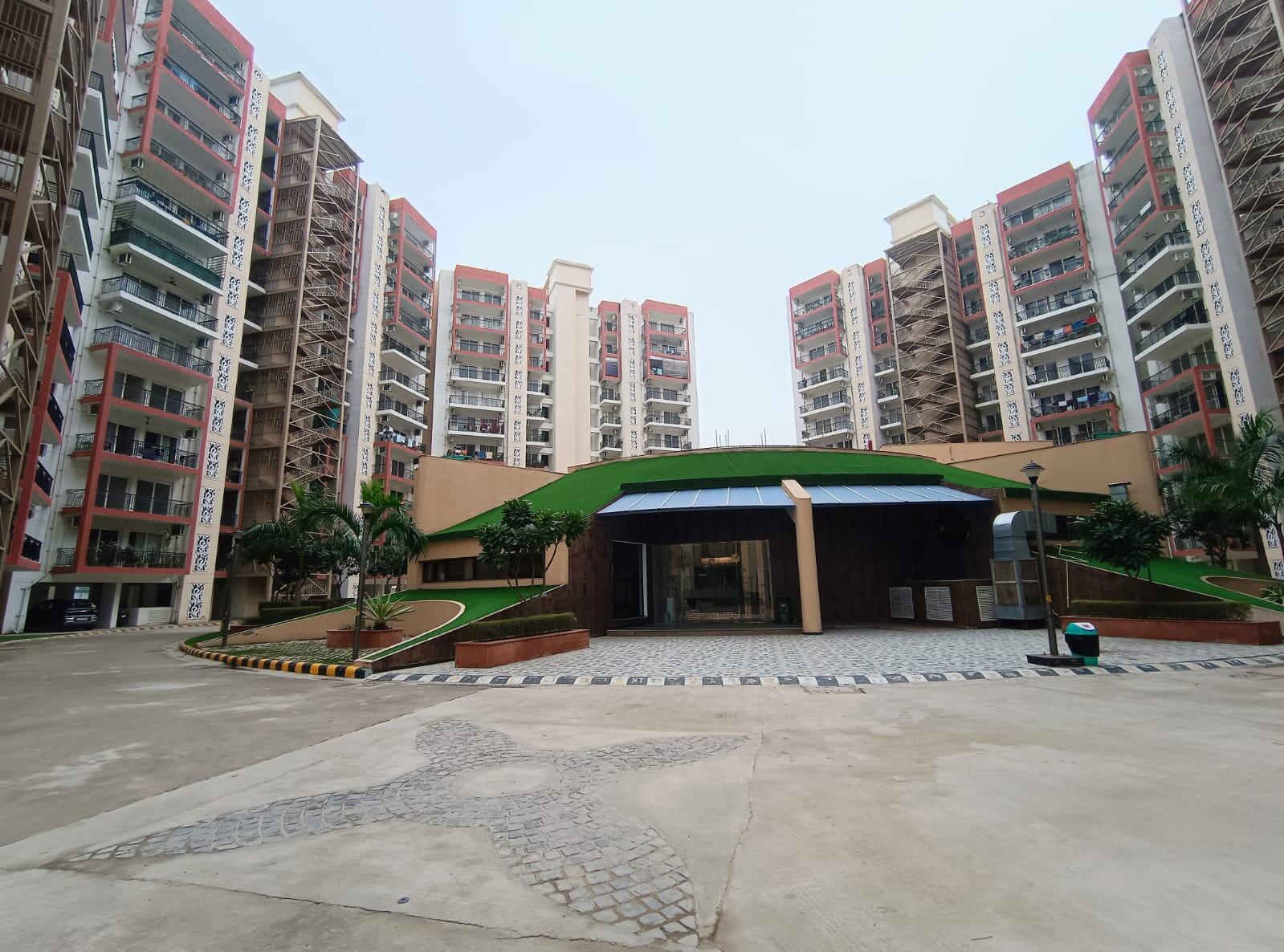 Orris Carnation - Image 20