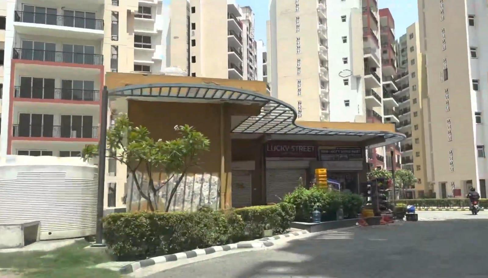 Orris Carnation - Image 28