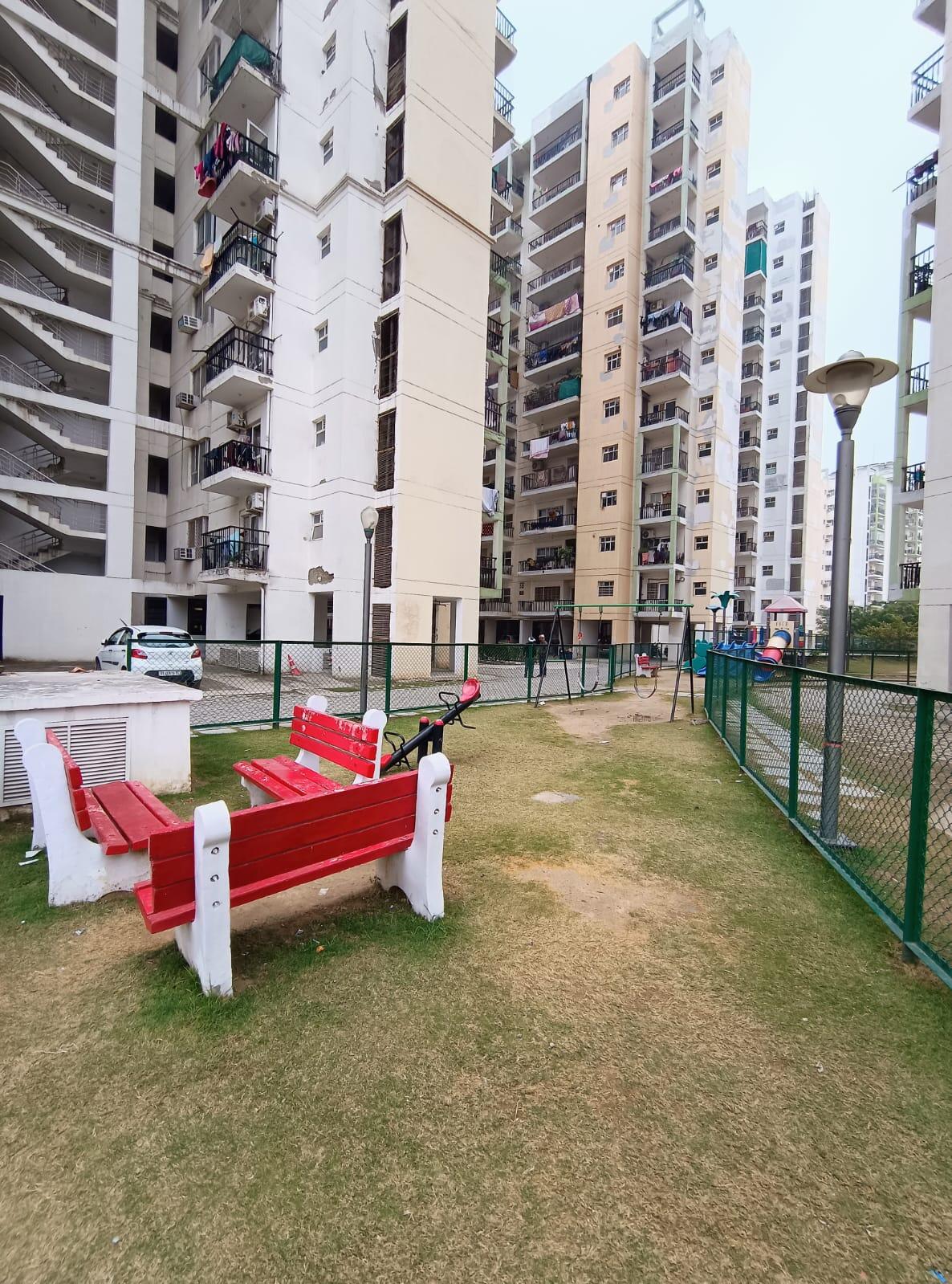 Orris Carnation - Image 15